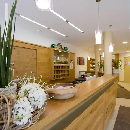 Haus Zirngast 酒店 斯拉德明