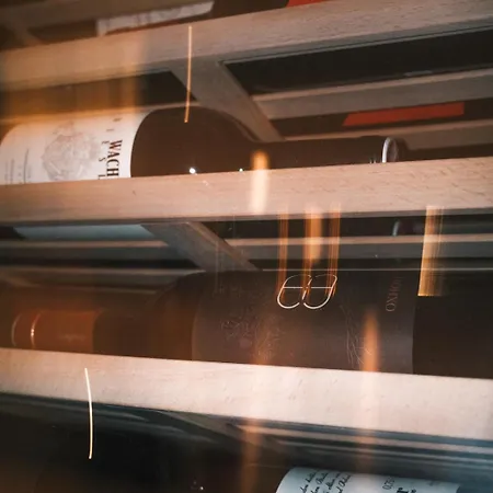 Haus Zirngast 4* 斯拉德明