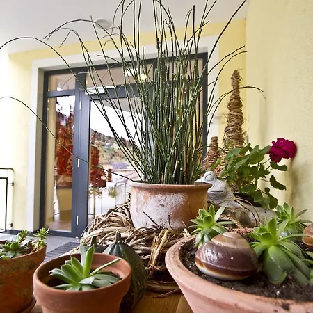 Haus Zirngast 3*
